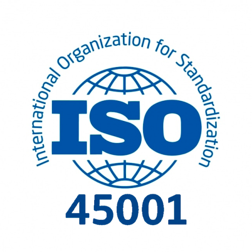 ISO 45001 Seg N°1